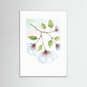 Teneritas Fragilis - Fragile Tenderness